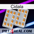 Cidala cialis4